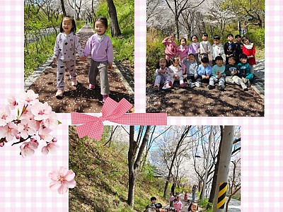 벚꽃 나들이